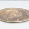 Bord versteend hout 40039e