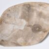 Plate petrified wood 33004a