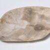 Plate petrified wood 33004a