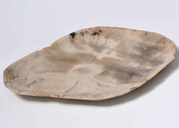 Plate petrified wood 33004c