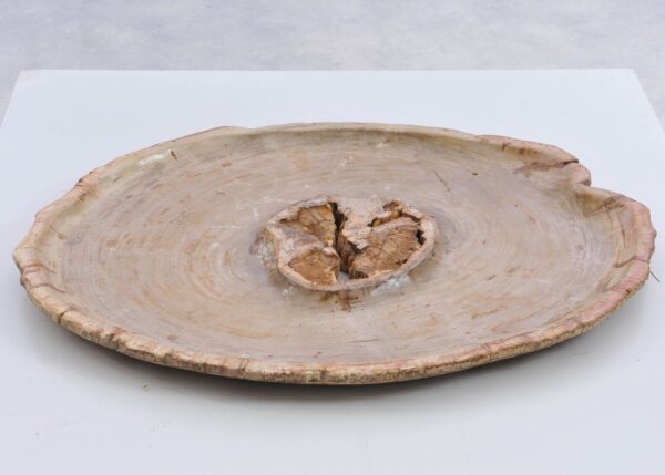 Plate petrified wood 39166