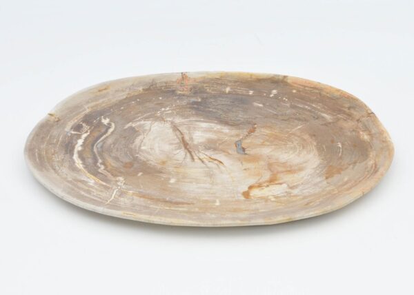 Plate petrified wood 40039c