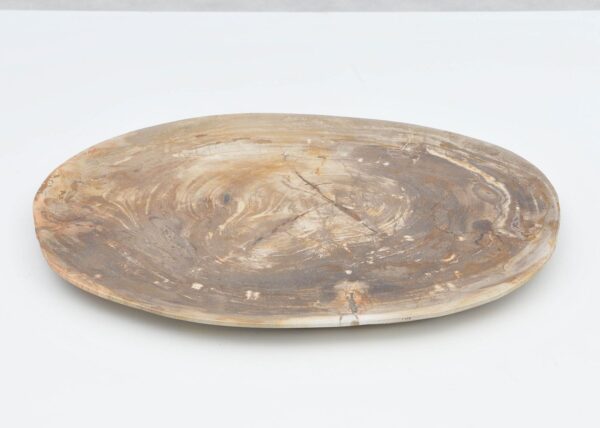 Plate petrified wood 40039e