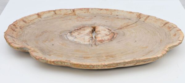 Bowl petrified wood 40268