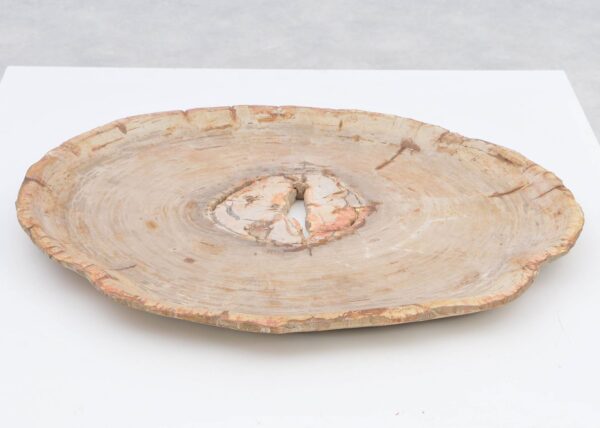 Bol madera petrificada 40267