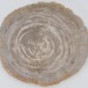 Plato madera petrificada 40331a