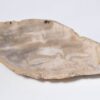Teller versteinertes Holz 33004b