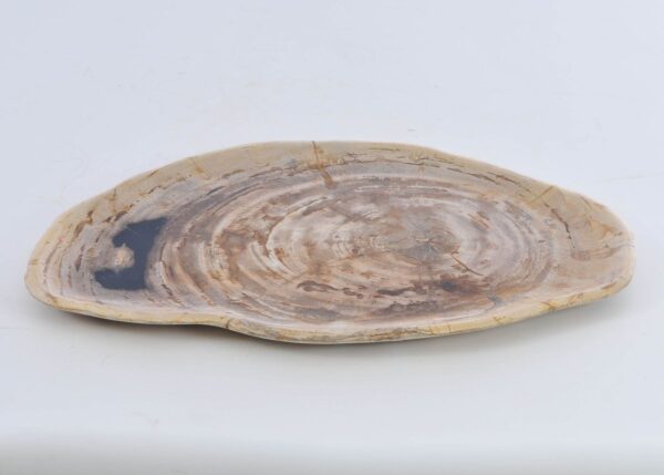 Assiette bois pétrifié 41009h