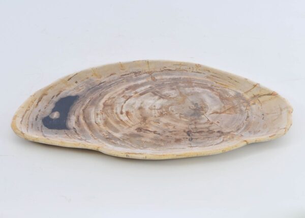 Assiette bois pétrifié 41009j