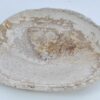 Assiette bois pétrifié 41015f