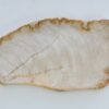 Assiette bois pétrifié 41019g