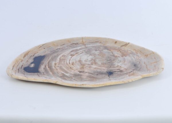 Bord versteend hout 41009b