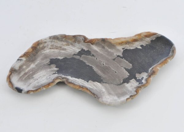 Bord versteend hout 41013m