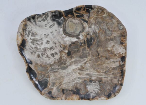 Bord versteend hout 41014i