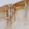 Bord versteend hout 41017c