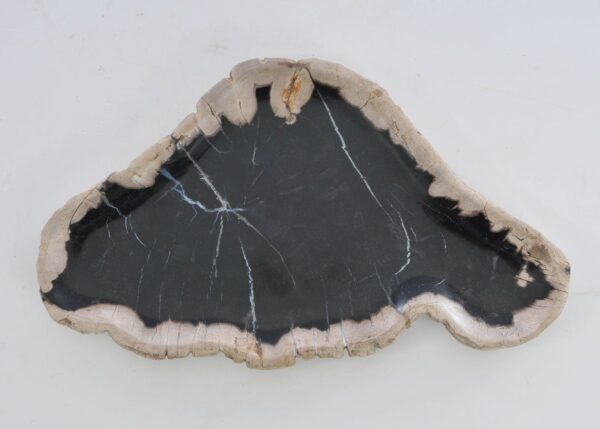 Bord versteend hout 41170