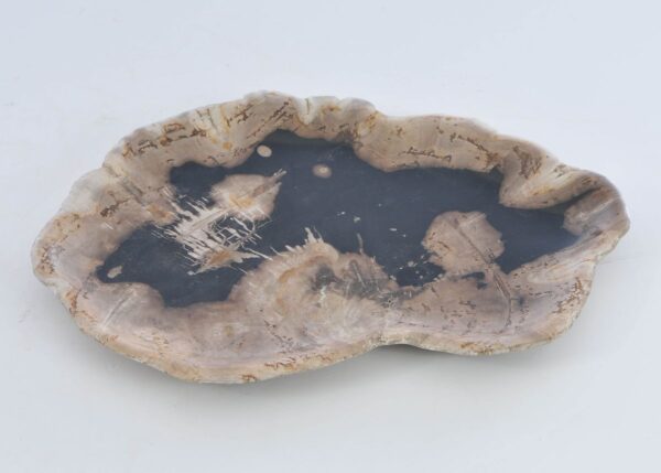 Bord versteend hout 41172