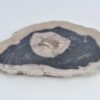 Bord versteend hout 41221i