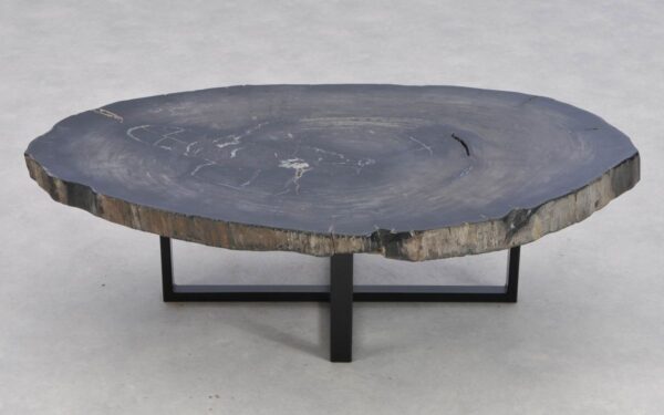 Coffee table petrified wood 41141