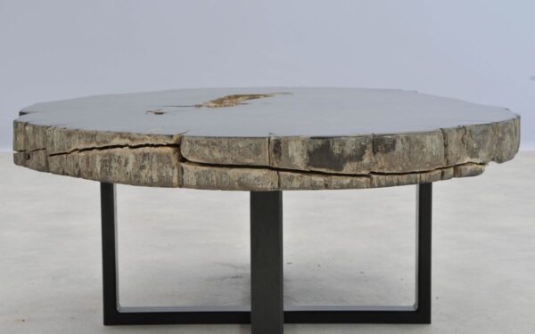 Coffee table petrified wood 41142