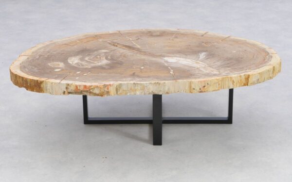 Coffee table petrified wood 41143