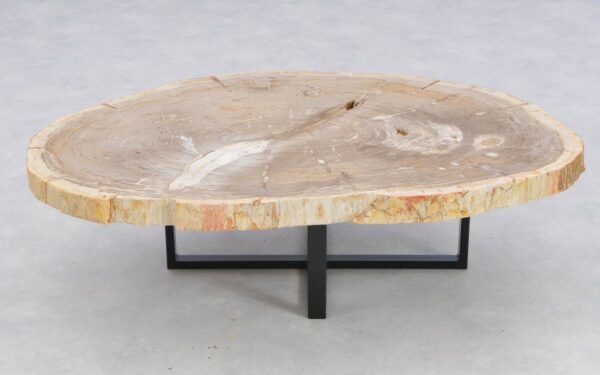 Coffee table petrified wood 41144