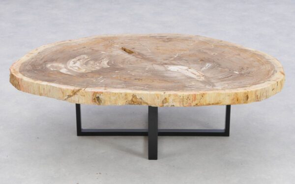 Coffee table petrified wood 41145