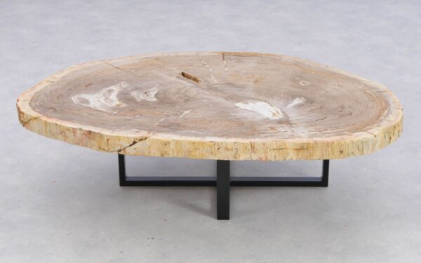 Coffee table petrified wood 41146