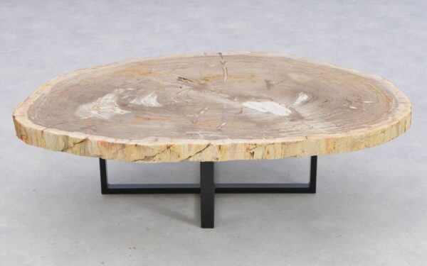 Coffee table petrified wood 41147