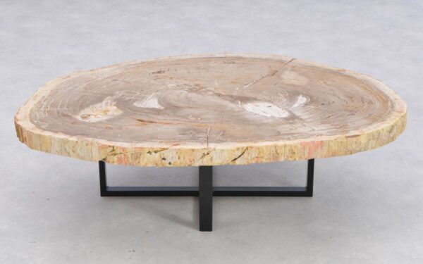 Coffee table petrified wood 41148