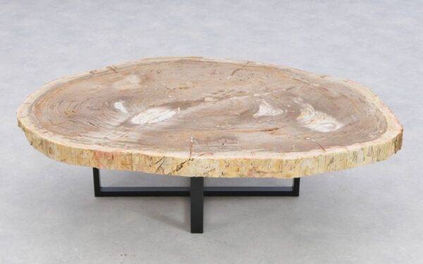 Coffee table petrified wood 41149