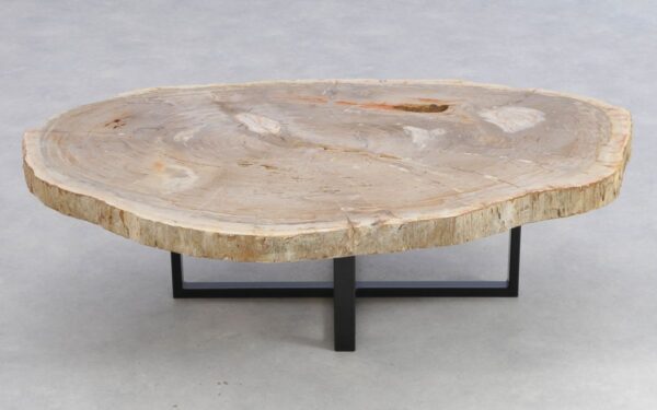 Coffee table petrified wood 41150