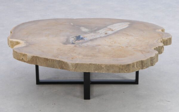 Coffee table petrified wood 41152