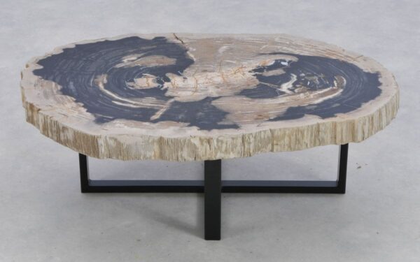 Coffee table petrified wood 41168