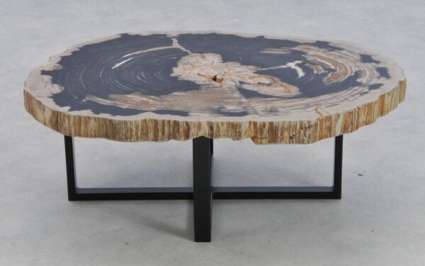 Coffee table petrified wood 41169