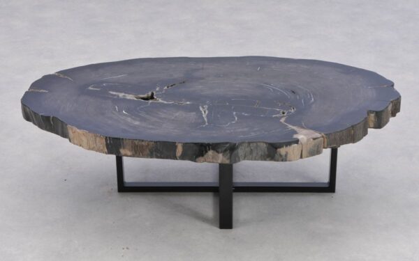Coffee table petrified wood 41185