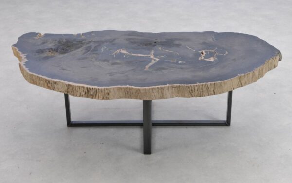 Coffee table petrified wood 41188