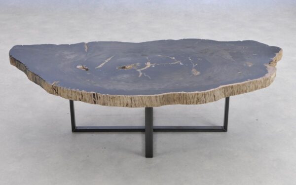 Coffee table petrified wood 41194