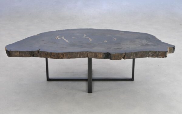 Coffee table petrified wood 41196