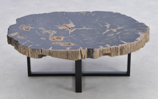 Coffee table petrified wood 41197