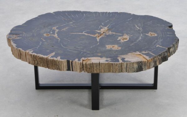 Coffee table petrified wood 41199