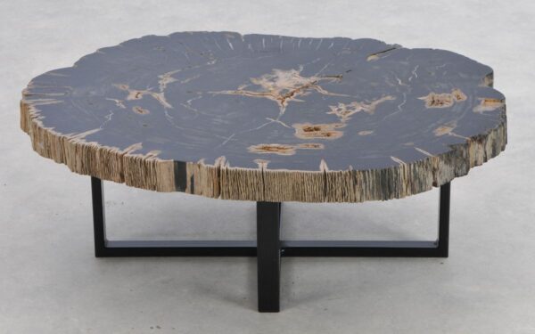 Coffee table petrified wood 41200