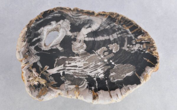Coffee table petrified wood 41205f