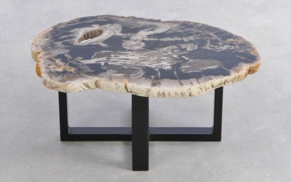 Coffee table petrified wood 41205f