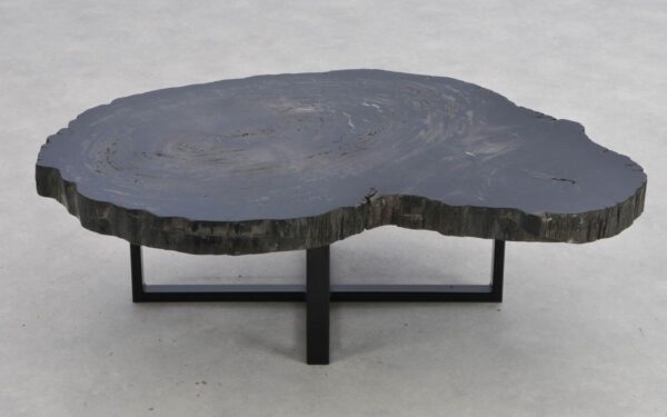 Coffee table petrified wood 41232