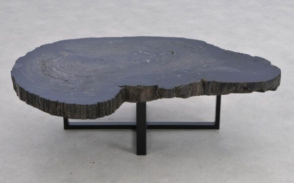 Coffee table petrified wood 41235