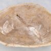 Couchtisch versteinertes Holz 41145