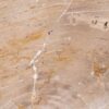 Couchtisch versteinertes Holz 41145