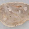 Couchtisch versteinertes Holz 41150