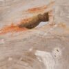 Couchtisch versteinertes Holz 41150